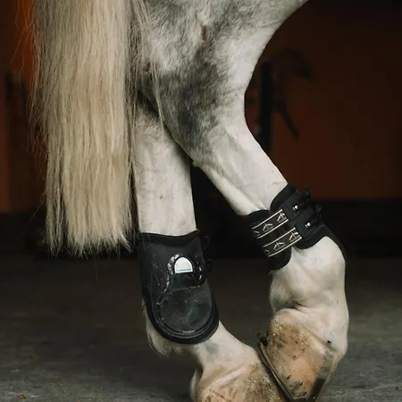 Manej Urla איזמיר