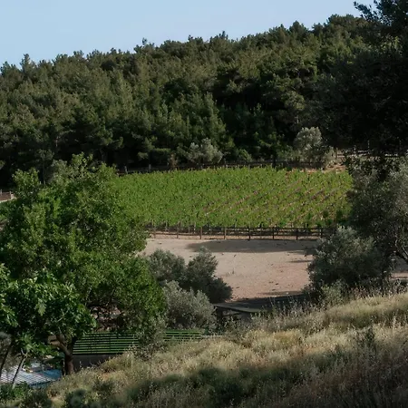 Manej Urla איזמיר